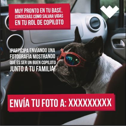 Copiloto WTF